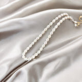 Collier Perles d'Eau Douce Blanches